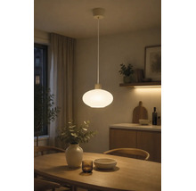 Pendelleuchte mit ovalem Schirm aus Glas in einem modern eingerichteten Esszimmer über einem Holztisch.