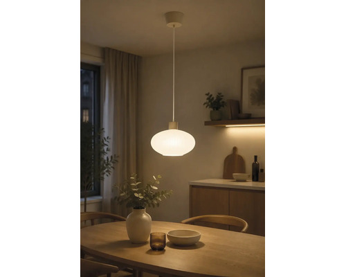 Pendelleuchte mit ovalem Schirm aus Glas in einem modern eingerichteten Esszimmer über einem Holztisch.