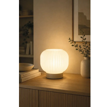 Beleuchtete Tischleuchte aus geriffeltem Glas auf einem Sideboard aus Holz, schafft eine warme Atmosphäre im Wohnbereich.