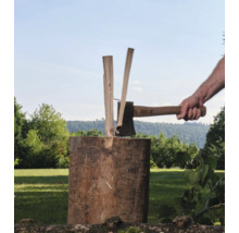Eine Hand benutzt eine For Q Spaltaxt, um ein Stück Holz auf einem Baumstumpf im Freien zu spalten.