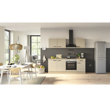 Moderne Einbauküche mit hellen Fronten, integriertem Backofen, Kochfeld, Dunstabzugshaube und freistehendem Kühlschrank in einem offenen Wohnraum.