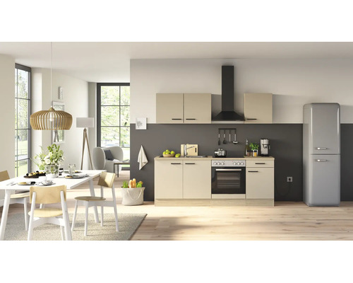 Moderne Einbauküche mit hellen Fronten, integriertem Backofen, Kochfeld, Dunstabzugshaube und freistehendem Kühlschrank in einem offenen Wohnraum.