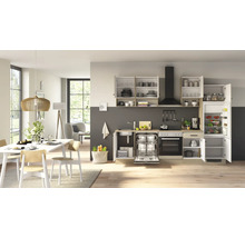 Moderne Einbauküche mit offener Schrankfront, integriertem Geschirrspüler, Backofen, Dunstabzugshaube und Kühlschrank in einem hellen Wohnbereich.