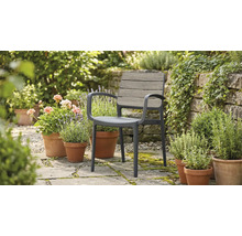 Gartenstuhl mit Armlehnen auf einer Steinterrasse umgeben von Blumentöpfen im Garten.