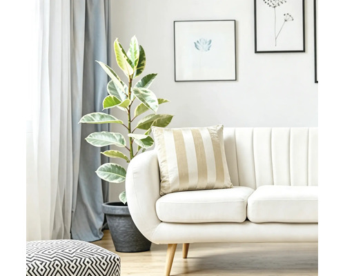Helles Wohnzimmer mit Sofa gestreiftem Kissen und Zimmerpflanze in einem Pflanzkübel.