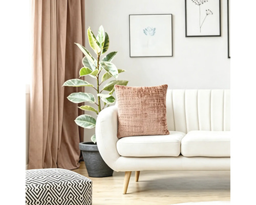 Strukturkissen auf einem modernen weißen Sofa im hellen Wohnzimmer mit Zimmerpflanze und Vorhängen