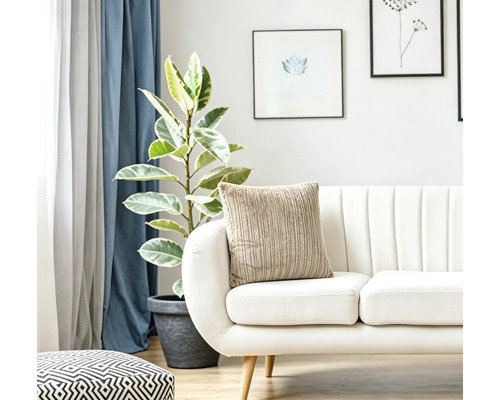 Helles Wohnzimmer mit einem modernen Sofa, einem strukturierten Kissen, einer Zimmerpflanze und Wandbildern für ein gemütliches Ambiente.