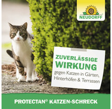 Neudorff Protectan Katzenschreck zur Abwehr von Katzen im Garten auf einer Hecke mit Produktinformationen.