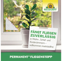 Neudorff Permanent Fliegenstopp Fensterklebefalle für Wohnräume