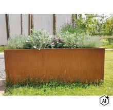 Rechteckiger Pflanztrog aus Cortenstahl mit verschiedenen Pflanzen im Garten auf einer Rasenfläche. (Image AI modified or generated)
