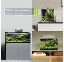 Verschiedene bepflanzte Aquarien in verschiedenen Einrichtungsstilen mit LED Beleuchtung auf Schränken präsentiert.