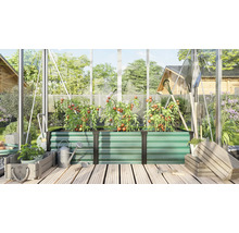 Rechteckiges Hochbeet aus Metall in einem Gewächshaus mit Tomatenpflanzen, Gartenwerkzeugen und Holzkisten auf einem Holzdeck.
