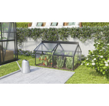 Ein kleines Frühbeet aus Kunststoff mit Aluminiumrahmen steht im Garten neben einer Gießkanne mit Tomatenpflanzen im Inneren.