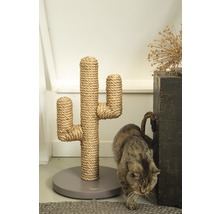 Katze neben einem Kratzbaum in Kaktusform