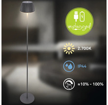 Moderne Stehleuchte mit Akkubetrieb, 2700 Kelvin warmweißem Licht, Schutzart IP44 und stufenloser Dimmfunktion von 10 bis 100 Prozent.
