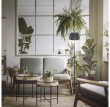 Moderne Stehleuchte mit plissiertem Schirm in einem hellen, wohnlich eingerichteten Wohnzimmer mit Zimmerpflanzen und Polstermöbeln.