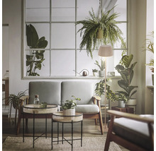 Helles Wohnzimmer mit Sofa, Beistelltischen und Stehlampe mit Lampenschirm vor einem großen Fenster mit vielen Zimmerpflanzen.
