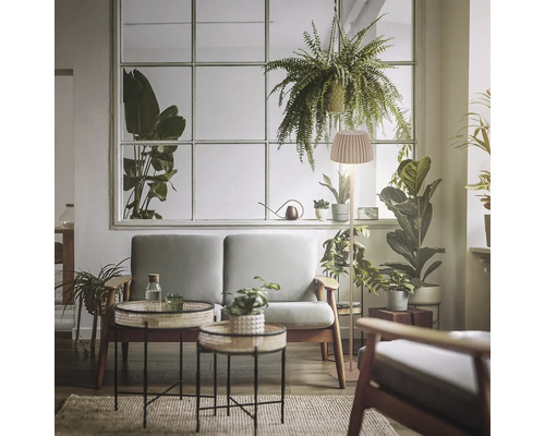 Helles Wohnzimmer mit Sofa, Beistelltischen und Stehlampe mit Lampenschirm vor einem großen Fenster mit vielen Zimmerpflanzen.