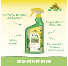 Neudorff Grundstoff Essig Unkrautvernichter in der 1 Liter Sprühflasche für Wege und Terrassen mit pflanzlichen Inhaltsstoffen.