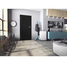 Moderne schwarze Zimmertür mit Metallbeschlag in einem stilvoll eingerichteten Wohnraum mit Flurmöbeln und Dekorationsgegenständen.
