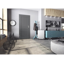 Moderne graue Innentür in einem stilvoll eingerichteten Flur mit Kommode, Garderobe und Wanduhr.