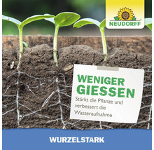 Neudorff Logo und junge Pflänzchen in Erde mit Wurzeln und Hinweistext zur Stärkung der Pflanzen und verbesserten Wasseraufnahme