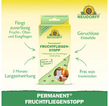 Neudorff Permanent FruchtfliegenStopp Klebefalle gegen Obstfliegen, frei von Insektiziden mit drei Monaten Langzeitwirkung.
