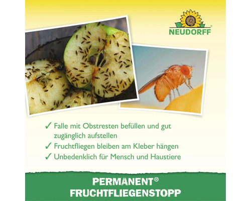 Neudorff Permanent Fruchtfliegenstopp mit Anwendungsanleitung und Bildern von Fruchtfliegen auf Obstresten.