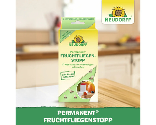 Neudorff Permanent Fruchtfliegen Stopp mit einem Aufsteller und zwei Klebefallen zur Bekämpfung von Fruchtfliegen.