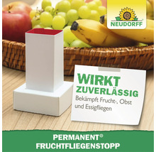 Neudorff Permanent Fruchtfliegenstopp Falle zur Bekämpfung von Fruchtfliegen Obstfliegen und Essigfliegen stehend vor einem Obstkorb