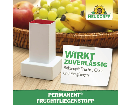 Neudorff Permanent Fruchtfliegenstopp Falle zur Bekämpfung von Fruchtfliegen Obstfliegen und Essigfliegen stehend vor einem Obstkorb