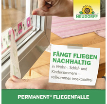 Eine Hand bringt einen Neudorff Permanent Fliegenfänger an einem Fensterrahmen an, um Fliegen in Wohnräumen insektenfrei zu fangen.