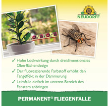 Neudorff Permanent Fliegenfalle als Klebefalle für Fenster mit dreidimensionalem Design zur effektiven Fliegenbekämpfung im Innenbereich.