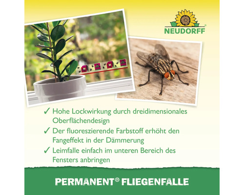 Neudorff Permanent Fliegenfalle als Klebefalle für Fenster mit dreidimensionalem Design zur effektiven Fliegenbekämpfung im Innenbereich.