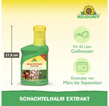 Neudorff Schachtelhalm Extrakt als Pflanzenstärkungsmittel für 62 Liter Gießwasser, anwendbar von März bis September.