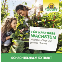 Mutter und Kind im Garten bei der Gurkenpflege mit Neudorff Logo und Werbebotschaft fuer Schachtelhalm Extrakt.