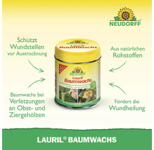 Dose mit Neudorff Lauril Baumwachs zur Wundbehandlung und Veredelung von Obst- und Ziergehölzen aus natürlichen Rohstoffen mit Neudorff Logo.