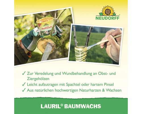 Neudorff Lauril Baumwachs zur Veredelung und Wundbehandlung von Obst und Ziergehölzen mit Spachtel und Pinsel anwendbar.