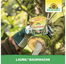 Eine Person trägt Neudorff Lauril Baumwachs mit einem Spachtel auf eine Wundstelle an einem Baumast auf.