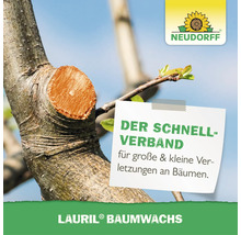 Neudorff Lauril Baumwachs für die Wundversorgung an Bäumen nach dem Schnitt mit Neudorff Logo.