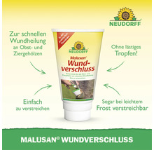 Neudorff Malusan Wundverschluss Tube zur Wundheilung an Obst und Ziergehölzen mit Pinselaufsatz.