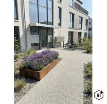 Moderne Wohnanlage mit rechteckigem Pflanzkübel aus Cortenstahl bepflanzt mit Lavendel vor dem Hauseingangsbereich und Fahrradständer. (Image AI modified or generated)