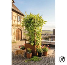 Ein quadratischer Pflanzkasten aus Metall mit integriertem Rankgitter auf einer Terrasse, bepflanzt mit einer Weinrebe und umgeben von Blumentöpfen. (Image AI modified or generated)
