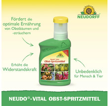 Neudorff Neudo-Vital Obst-Spritzmittel zur Stärkung von Obstbäumen und Obststräuchern in einer Kunststoffflasche mit Neudorff Logo