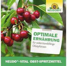Neudorff Neudo Vital Obst Spritzmittel für widerstandsfähige Obstpflanzen mit Kirschen an einem Ast und Neudorff Logo.
