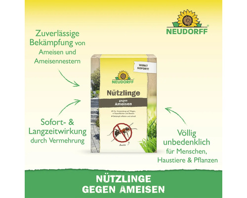 Neudorff Nuetzlinge gegen Ameisen Packung mit Informationen zu Wirksamkeit und Anwendung gegen Ameisen im Garten und auf Wegen.