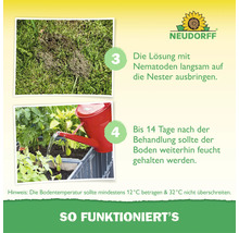 Anleitung zur Anwendung von Nematoden mit Neudorff Logo: Lösung auf Nester ausbringen und Boden feucht halten bei 12 bis 32 Grad Bodentemperatur.