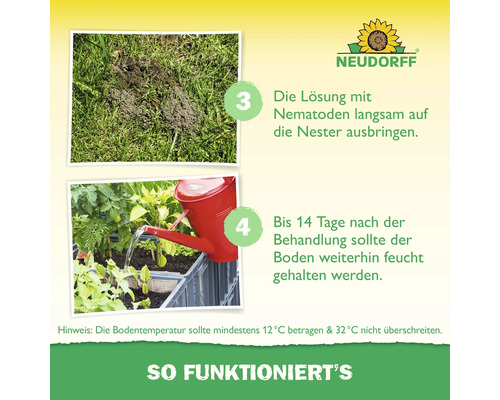 Anleitung zur Anwendung von Nematoden mit Neudorff Logo: Lösung auf Nester ausbringen und Boden feucht halten bei 12 bis 32 Grad Bodentemperatur.