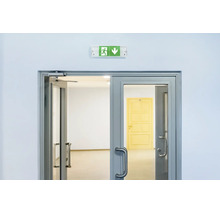 Notausgangsleuchte mit Fluchtwegpiktogramm über einer zweiflügeligen Tür mit Türschließer in einem Innenraum.