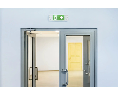 Notausgangsleuchte mit Fluchtwegpiktogramm über einer zweiflügeligen Tür mit Türschließer in einem Innenraum.